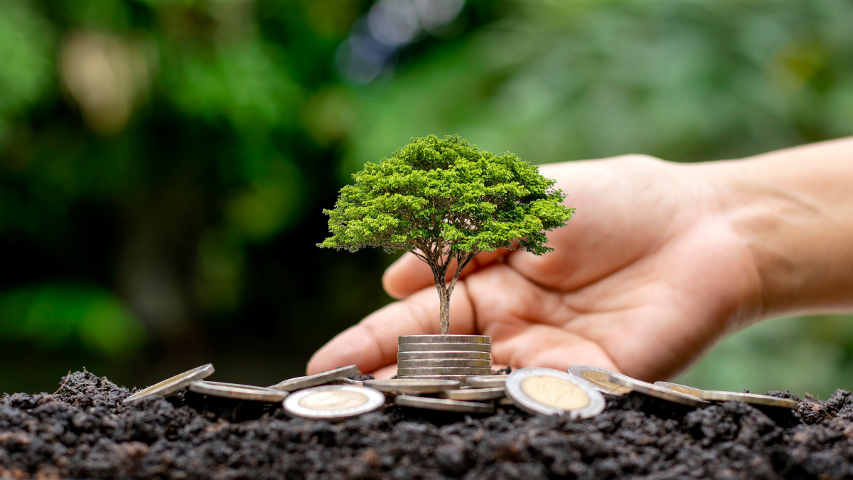 Đào tạo về biến đổi khí hậu